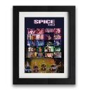 Spice_Girls_Framed_Collectors_Sheet.jpg